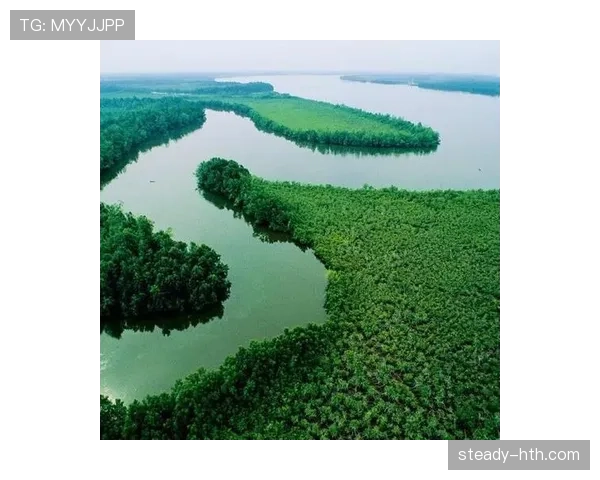 马里国家整体实力显著提升，区域影响力持续扩大